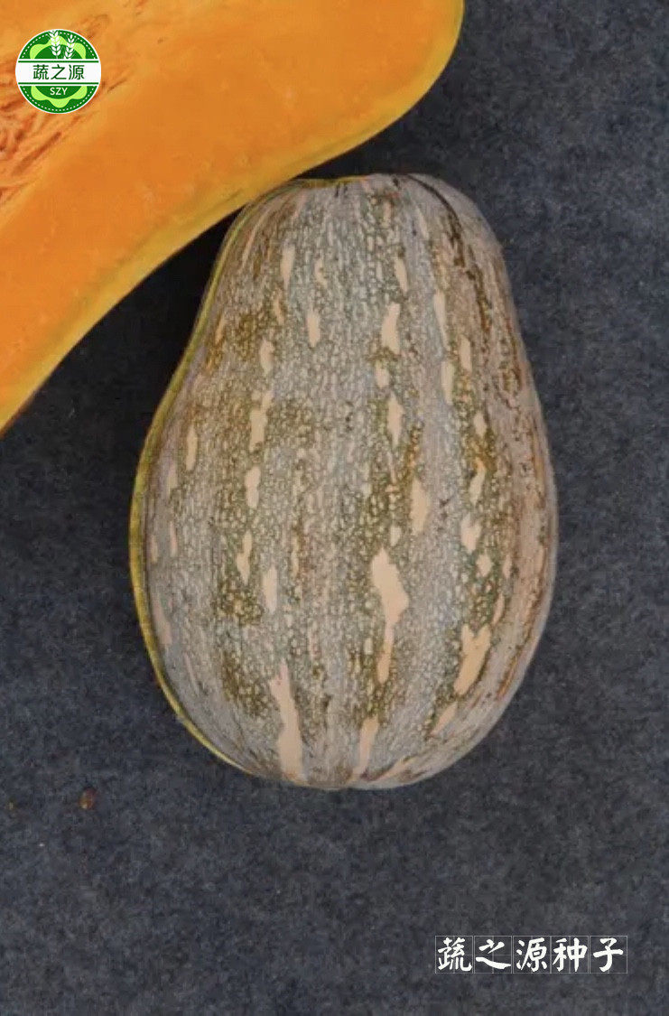 南瓜台湾qq种子娃小密三号高档品种高产抗病蔬菜种子