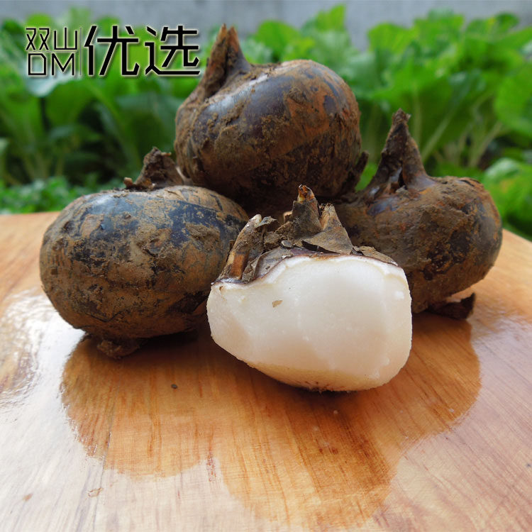 5月荔浦特产水果马蹄产地农产品直销新鲜洗净其它