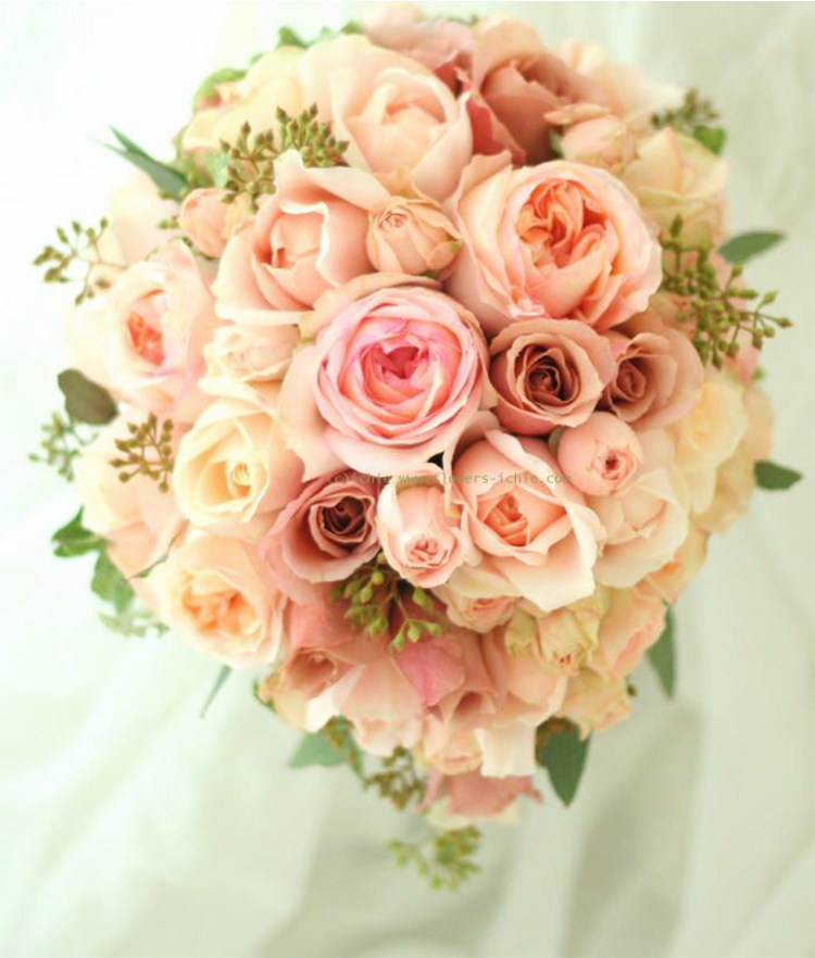 j251怀旧浪漫青莲居日本月季灌木庭院浓香香型花卉