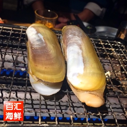 鲜活富贵500g小蚌仔蚌蛤小象拔蚌扇贝海鲜水产其它