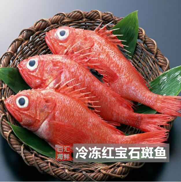 西餐蒸烧清蒸香煎石班鱼冷冻新西兰15斤石斑鱼红宝石斑鱼