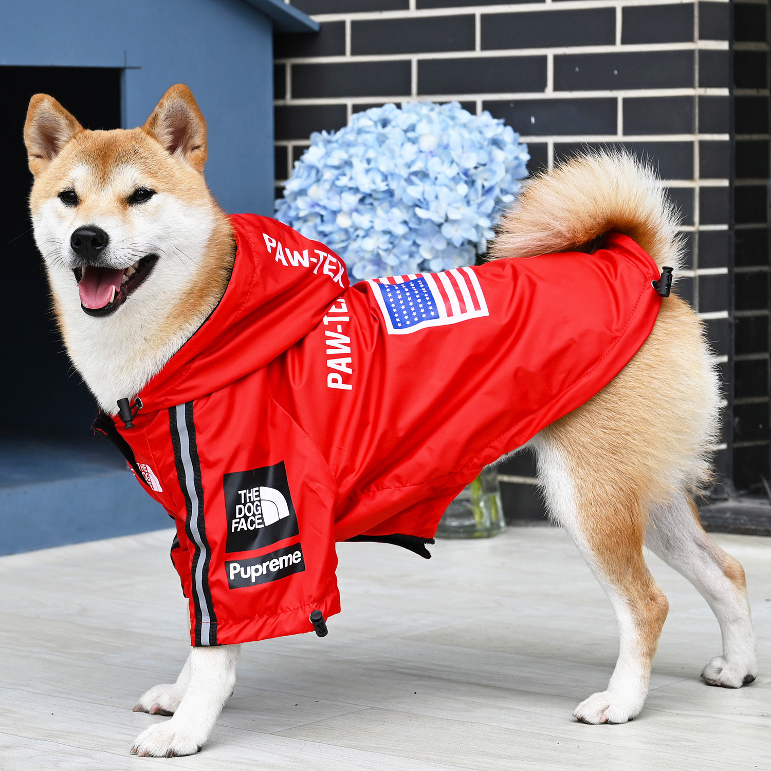 柴犬柯基法斗纳瑞潮牌网红supreme宠物宠物狗狗狗宠物服装