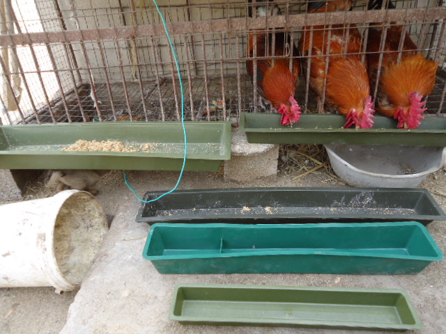 食槽长方形喂鸡养鸡大号喂水小鸡防撒长条鸡槽喂食器