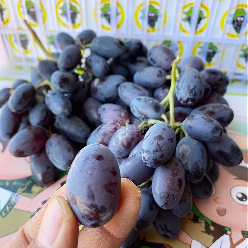 无籽吐鲁番香妃25斤新疆水果葡萄提子北京同城葡萄