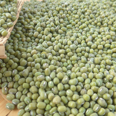 江西农家青豆五谷杂粮发芽500g一斤绿豆 原价15元 现价10.6元包邮抢购