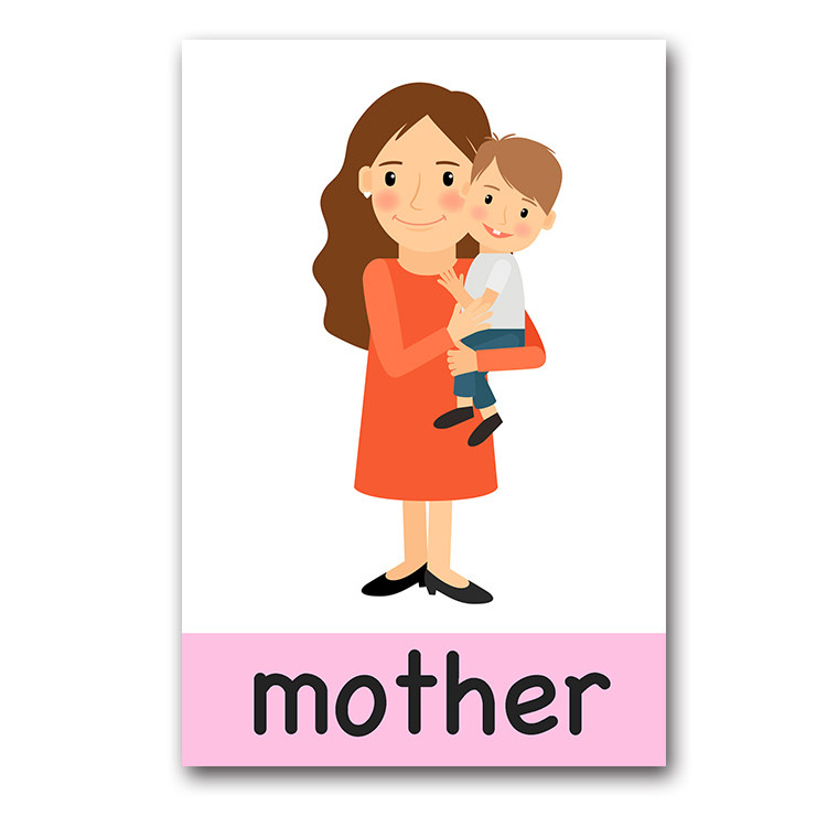 英语卡片防水闪卡家庭成员称呼10张幼儿园儿童早教闪卡