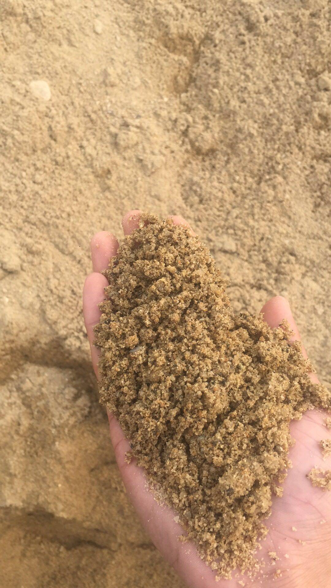 黄沙码头直销中沙散装装修辅材水泥曦运建材中沙