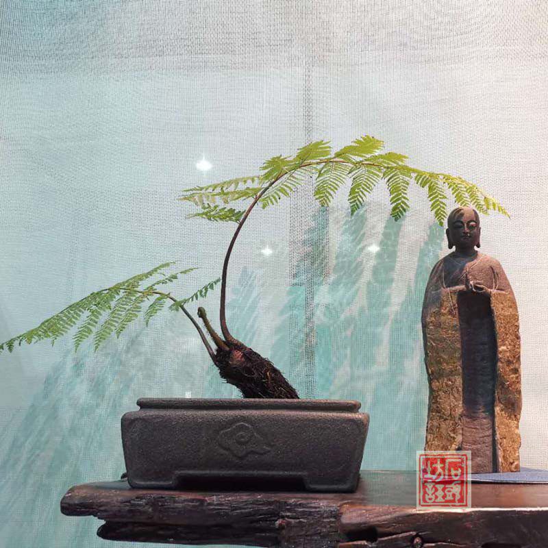 斗盆花盆四方盆老桩盆景石头微型鱼缸复古雕刻花盆