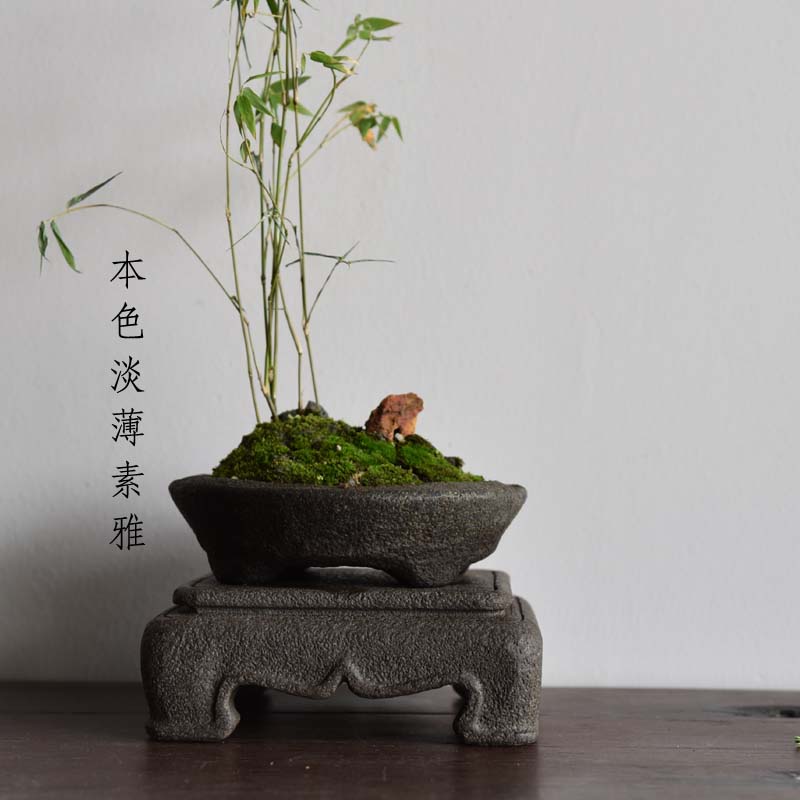石盆圆花盆圆形盆景石头掌中盆底底座菖蒲专用花盆