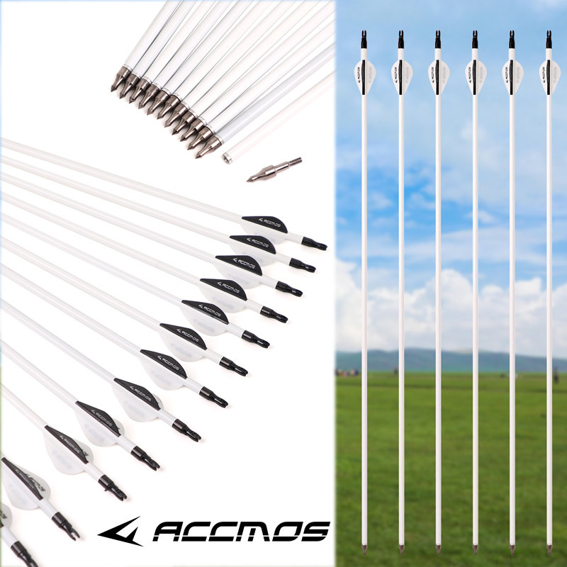 弓箭箭支12支射箭运动练习箭混碳箭反曲复合飞镖