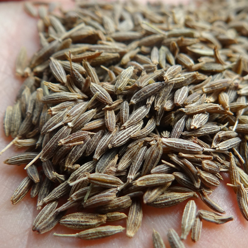 孜然新疆特产烧烤撒料50g500克包邮请10件花椒