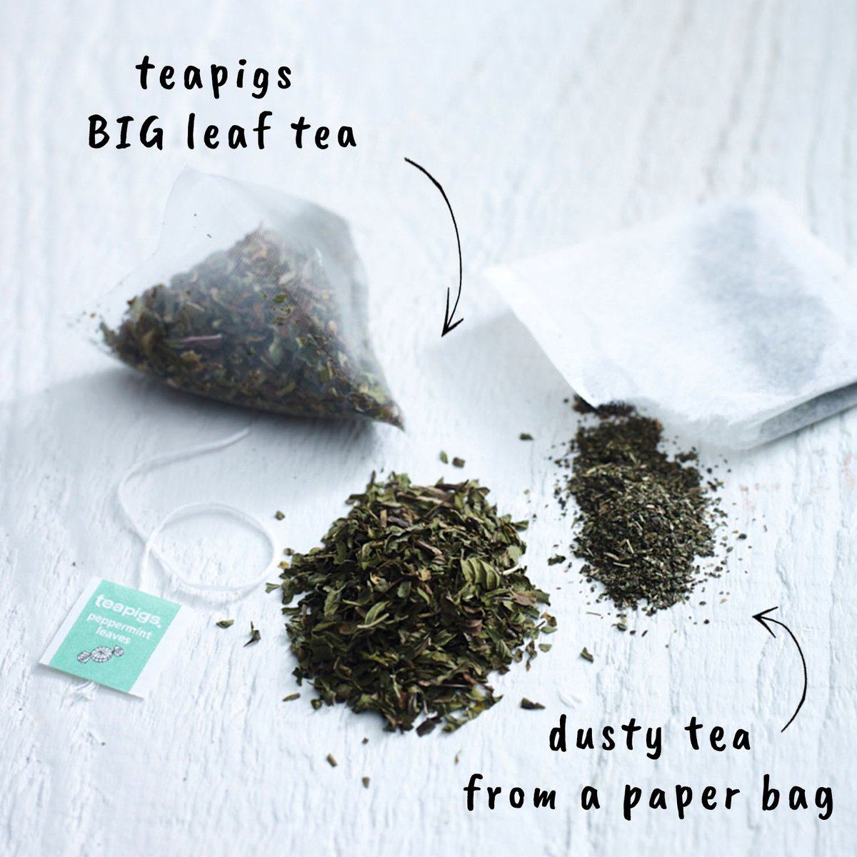 英国原装现货teapigs茶猪猪pepperminttea薄荷茶50片茶包