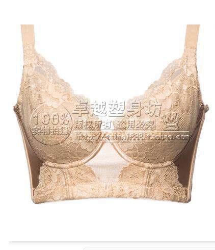 蓝黛丹尼landdennie内衣身体管理器聚拢美体短文文胸文胸