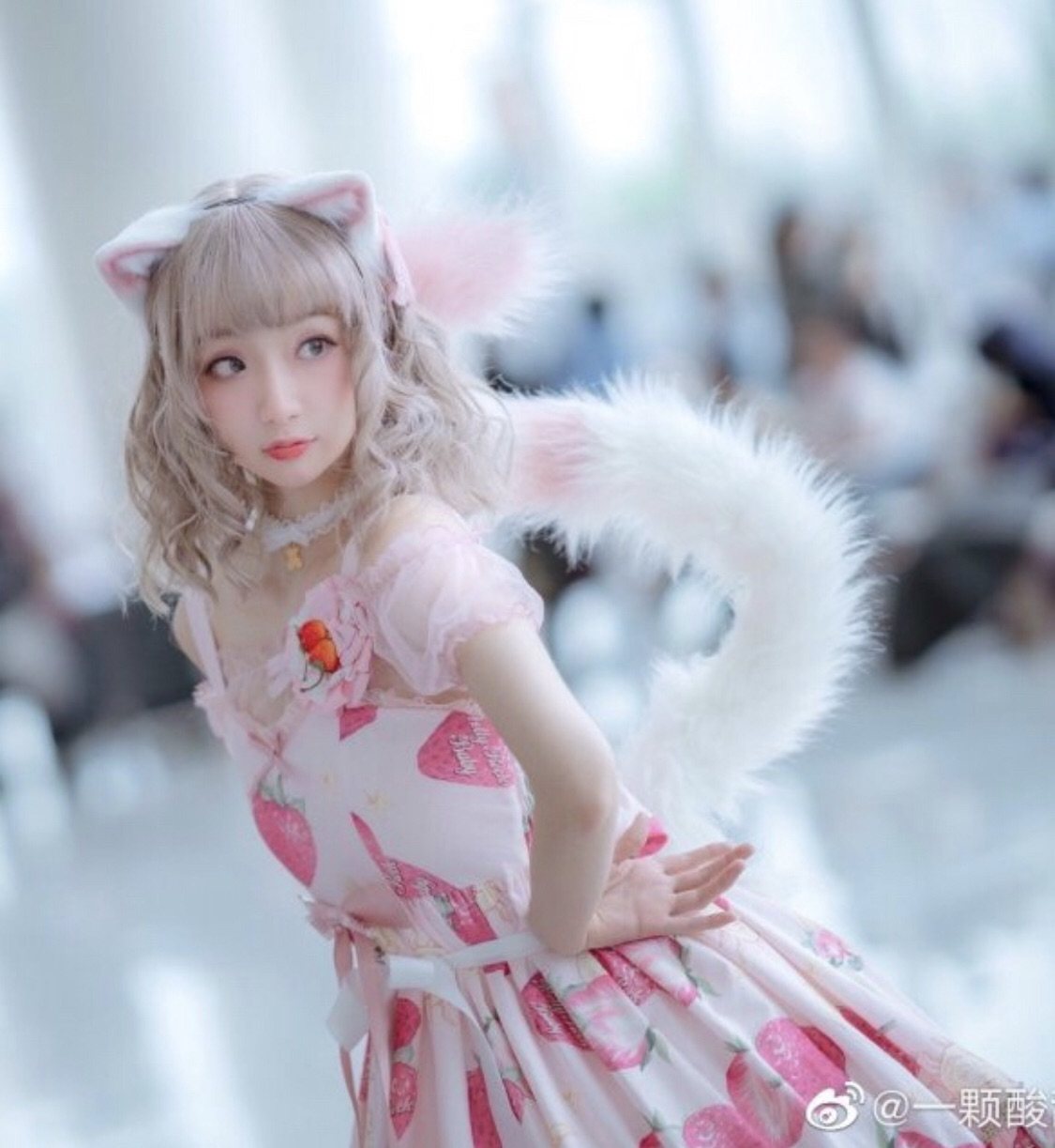 白猫不含真人配件兽耳仿真尾巴cos黑白预约洛丽塔配饰