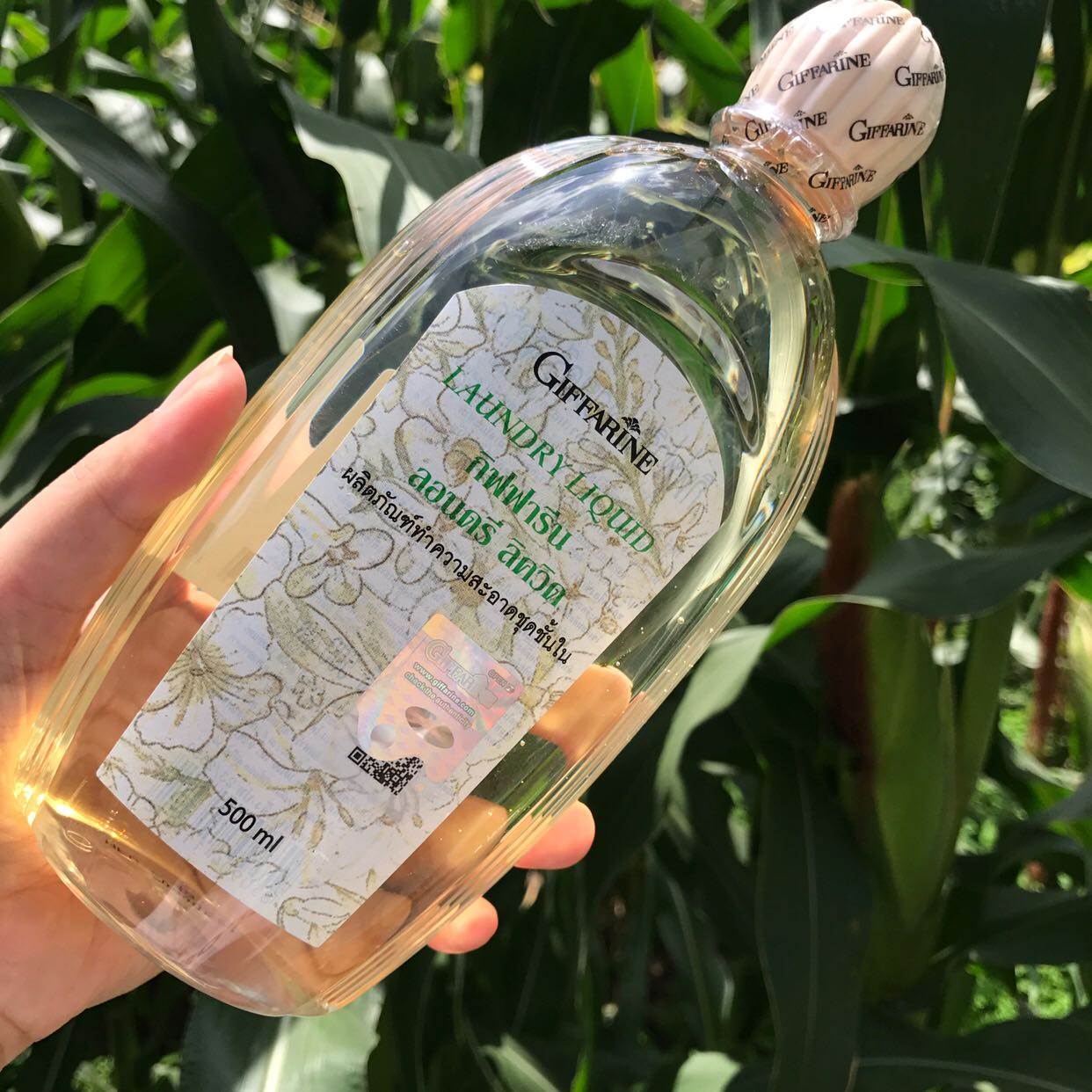 泰国giffarine芝芙内衣洗衣液香持久久留女士专业常规洗衣液
