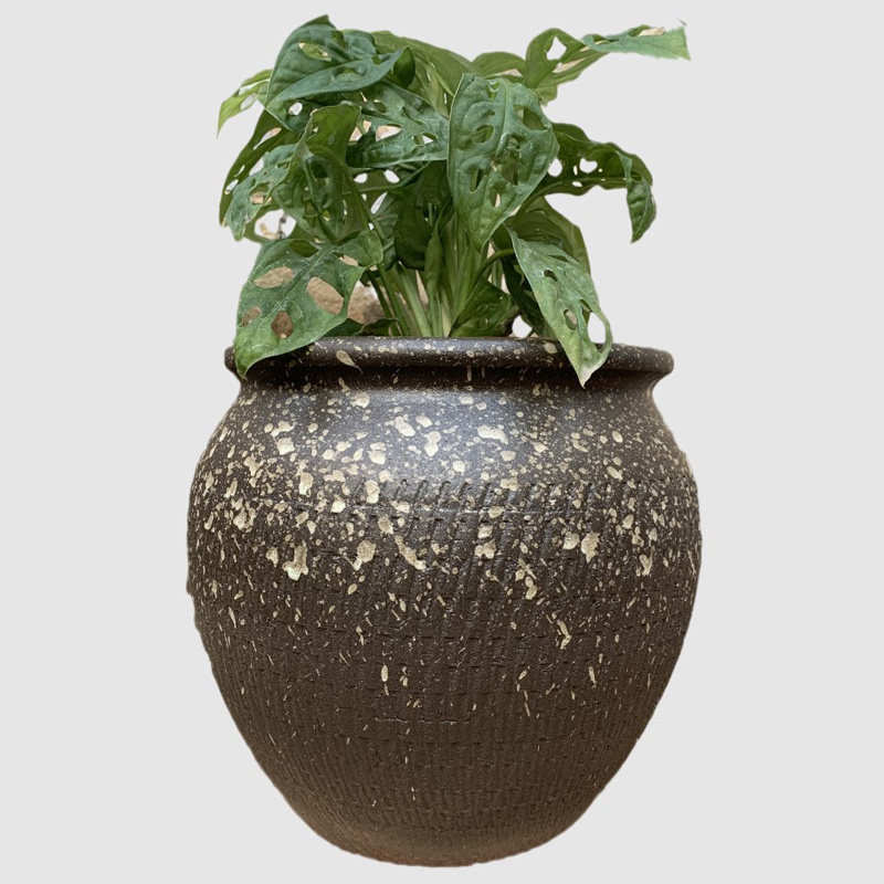 手工粗陶土陶罐子大号口径多肉植物老桩花盆花盆