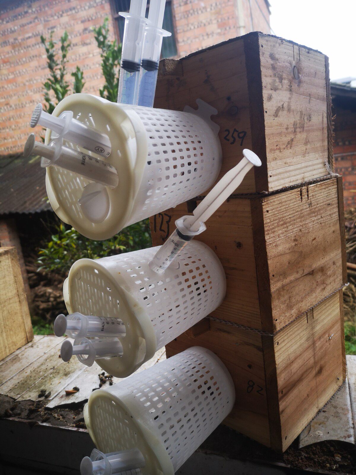 首页 痛风淘宝      土蜂蜜蜂桶圆桶蜂箱格子全套锈蜂密分蜂工具老