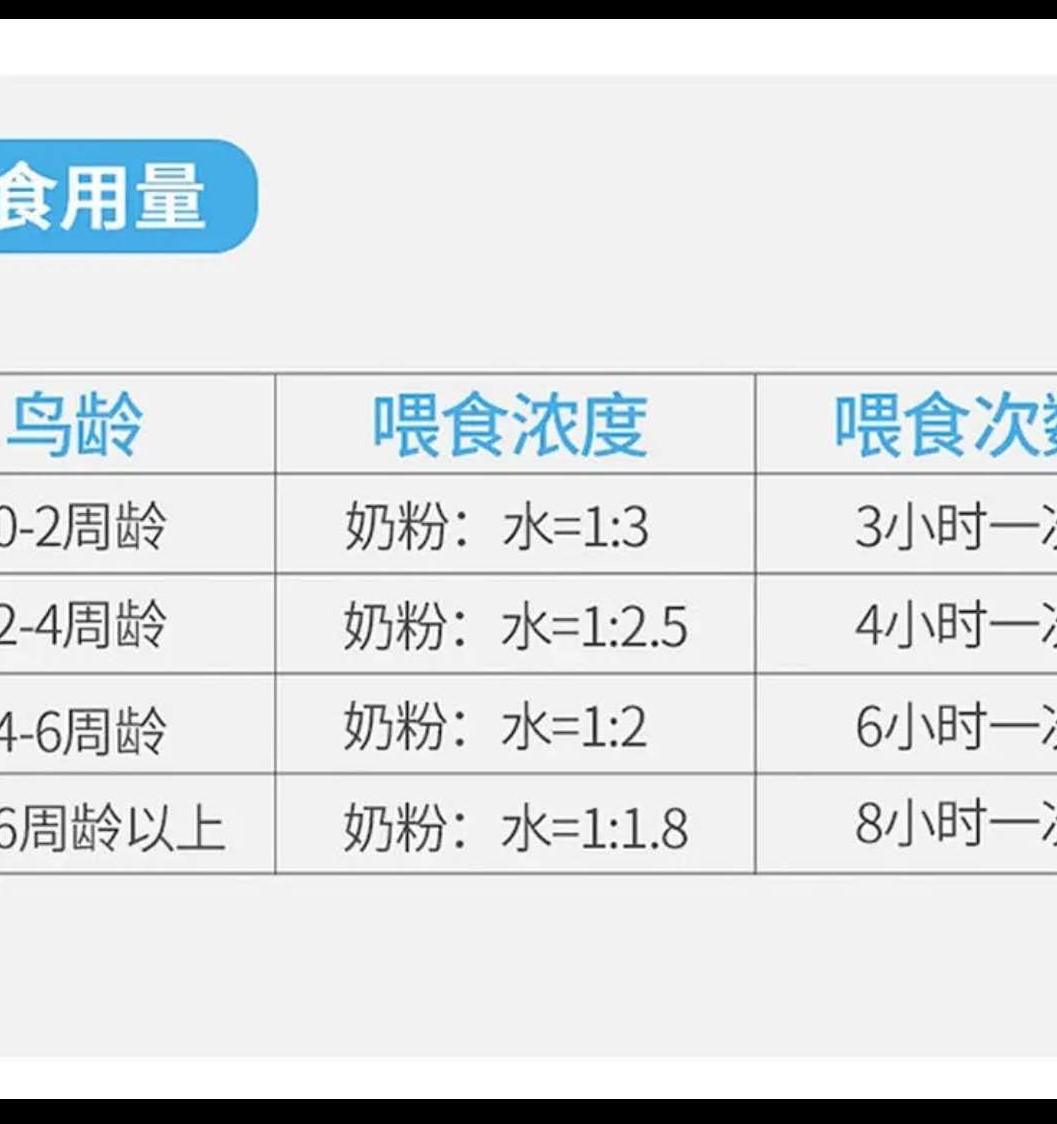 鹦鹉奶粉养殖场专用虎皮牡丹玄凤手养幼鸟雏鸟鸟