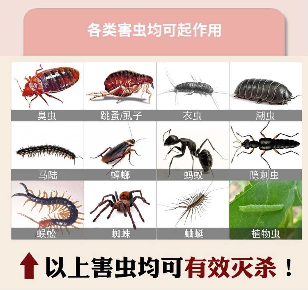 杀虫潮虫全窝蚂蚁家用臭虫虫药虱子粉剂驱虫杀虫剂卫生农药