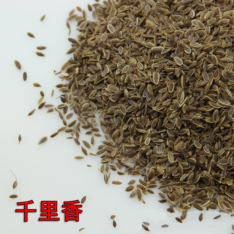 千里香500g包邮莳萝籽七里香九里香中药材香料调料干货批发