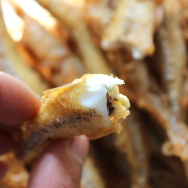 密云水库野生小公鱼 现打捞 特产天然鲜活鱼 北京饮用水源