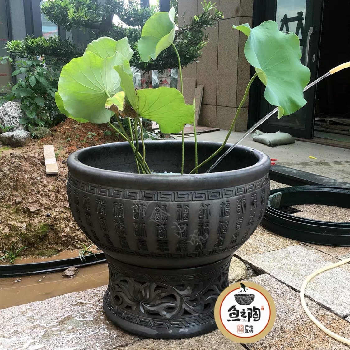 鱼缸老北京鱼百福金鱼青瓦瓦盆古法养鱼风水鱼缸