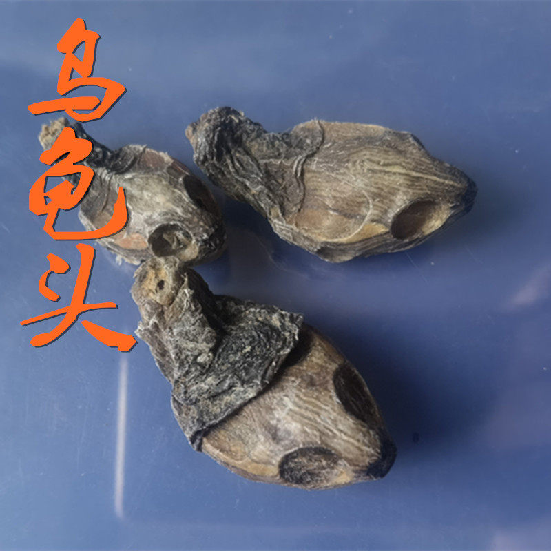 乌龟中药材正品龟头5只40元另有鳖首传统滋补品其他