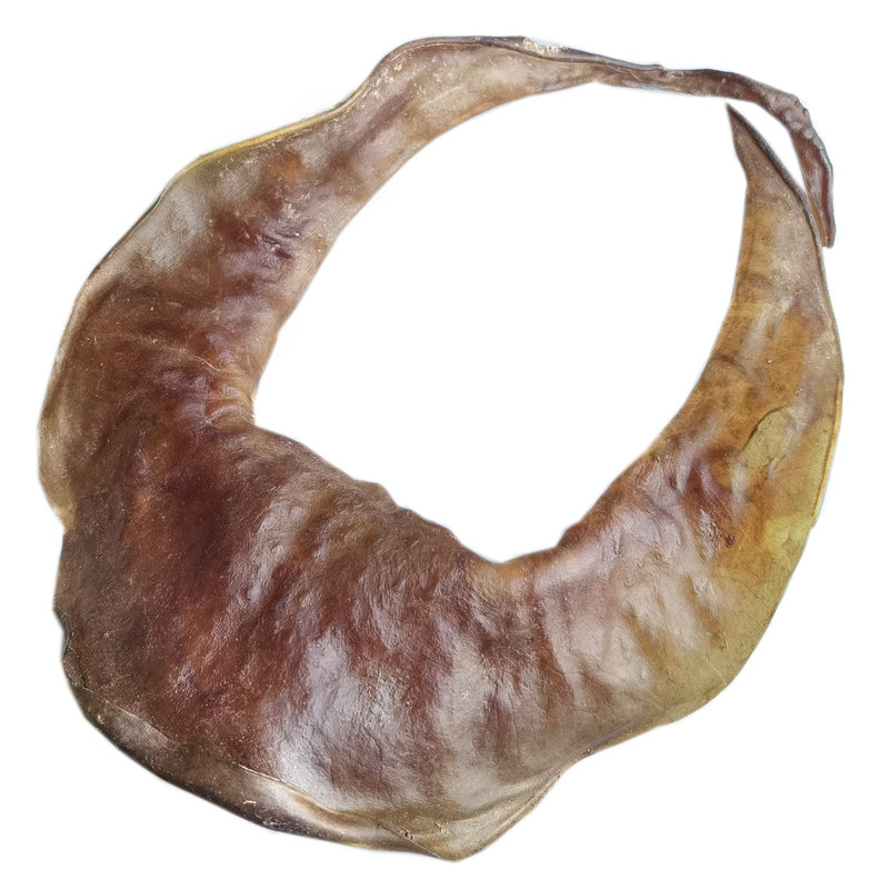 中华鳖甲鱼裙边团鱼水鱼飞边足干水产煲汤焖炒肉香营养高12015头