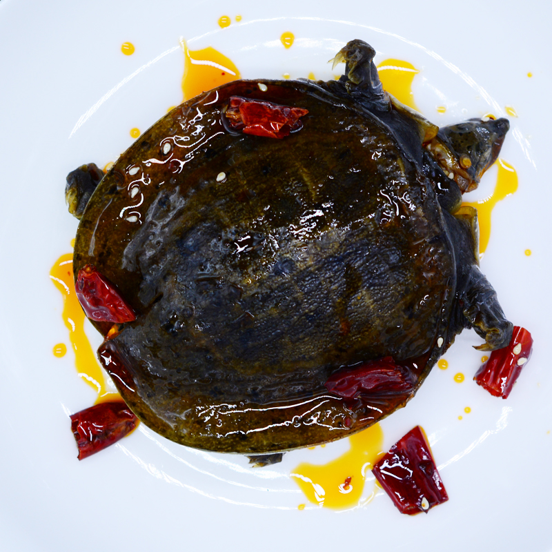 甲鱼鱼肉熟食即食200g水鱼团鱼憋麻辣王八香辣甲鱼