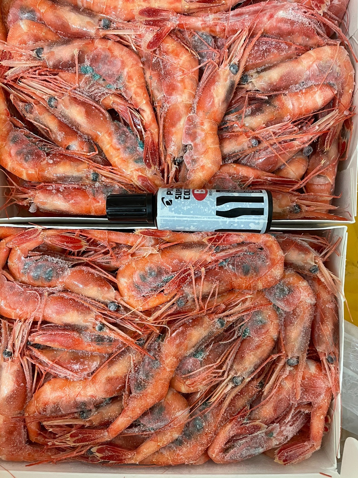 1000g俄罗斯进口北极甜虾刺身海鲜生冻新鲜即食冻虾