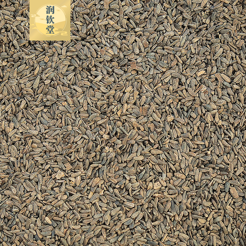 牛蒡子大力子500g克牛膀子野生大力子泡水牛蒡中药材另有牛蒡根茶