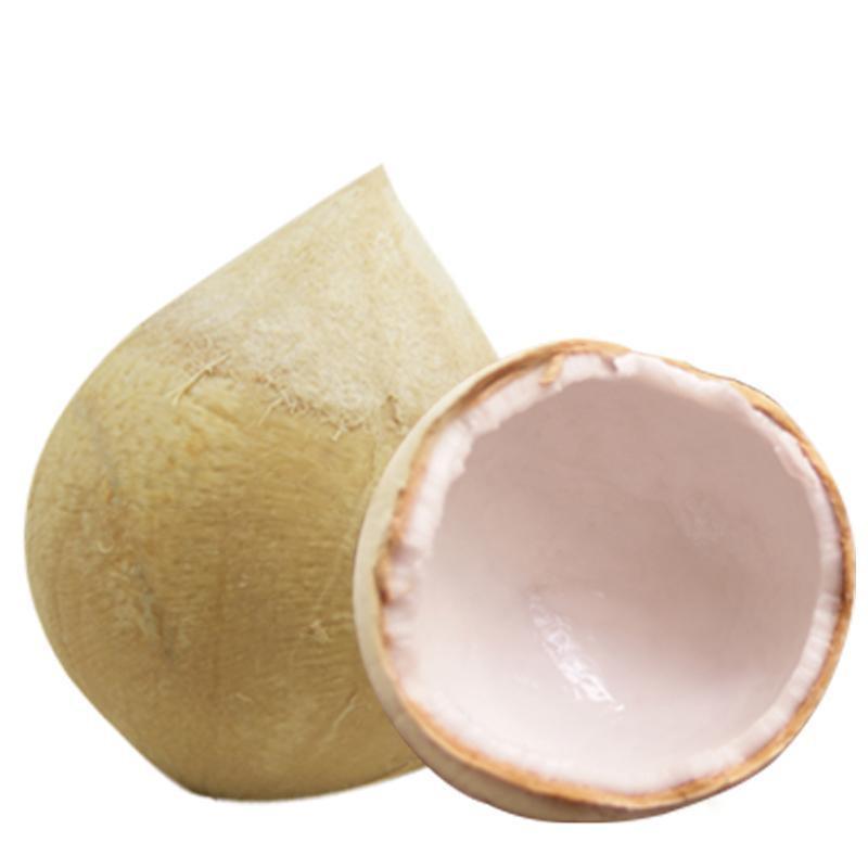 海南三亚牛奶香椰子新鲜水果泰国椰青椰王去皮椰子6个装顺丰包邮