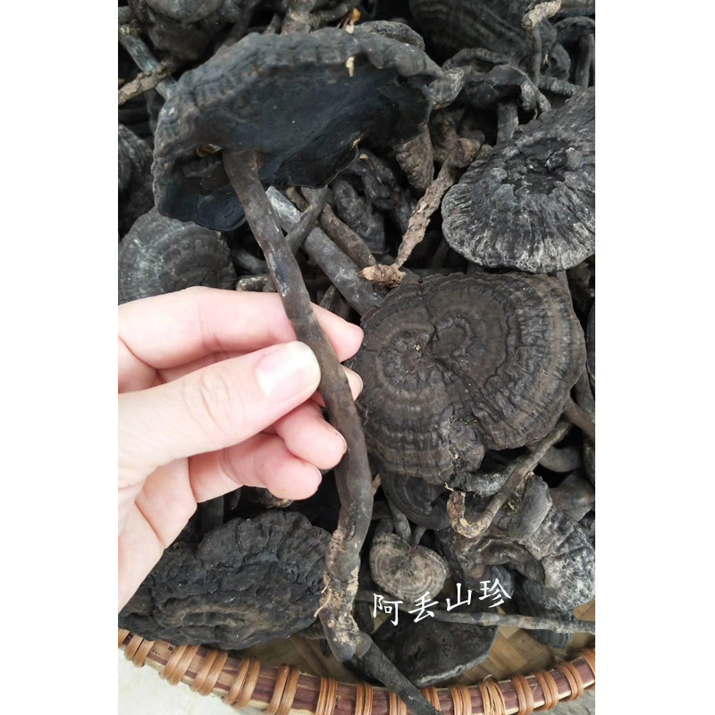 广西金秀大瑶山食用农产品香血灵芝其它干货煲汤其它干货