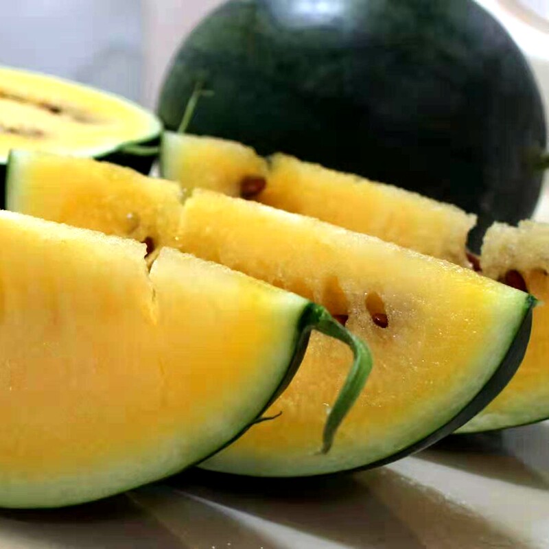 黑皮皮黄小西瓜种子特甜种春季瓜果种籽盆栽秋季家庭园艺种子