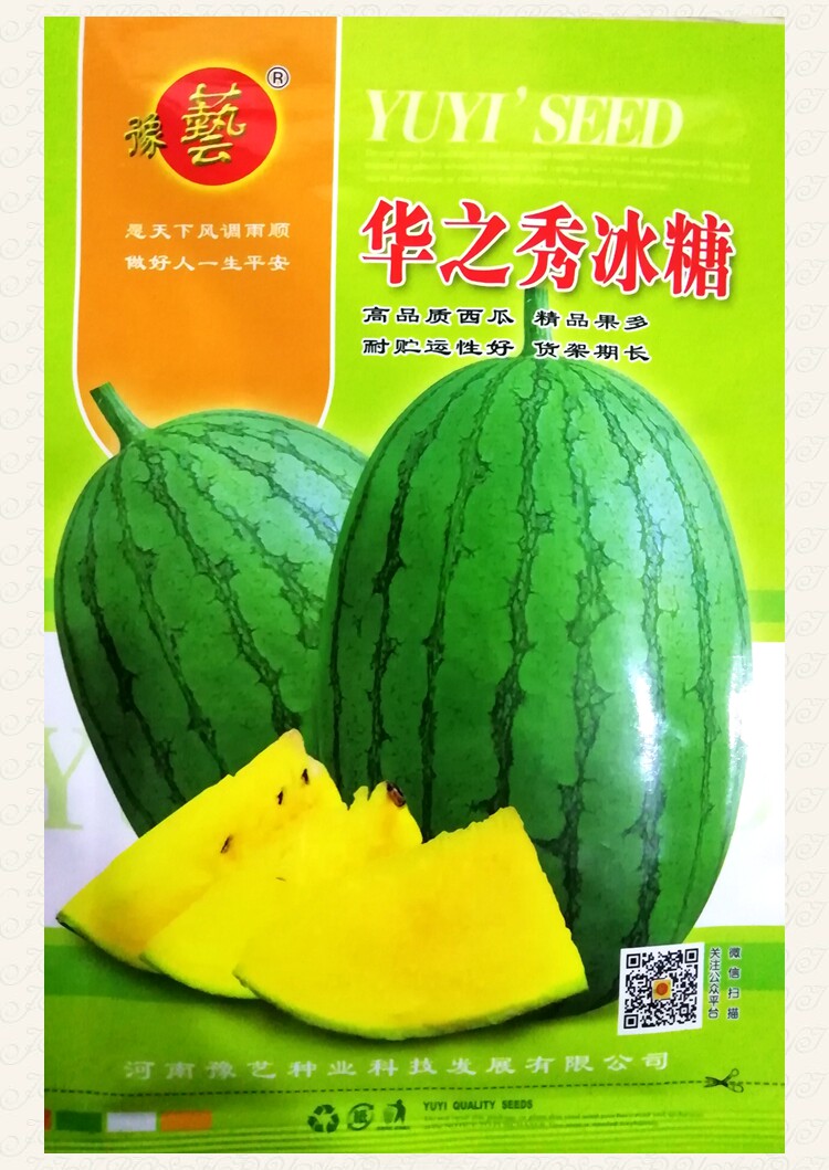 豫艺种业 华之秀冰糖西瓜种子 种籽 黄瓤黄肉花皮早熟好吃甜包邮
