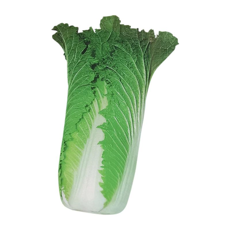 大白菜种子高筒状夏播抗热夏绿王白菜大白菜种蔬菜蔬菜种子