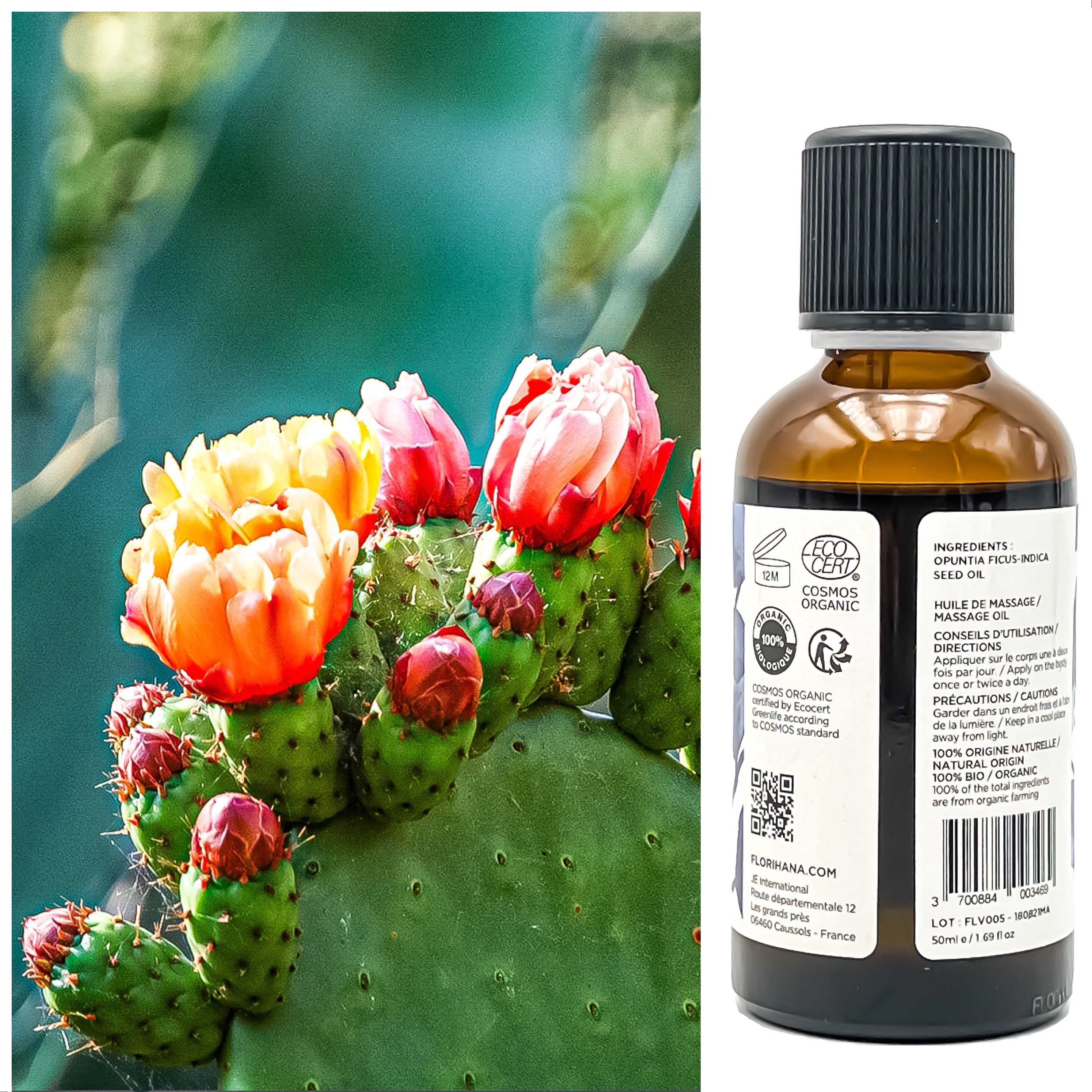 仙人掌50ml果籽huahuaflorialflorihana馥家基底精油