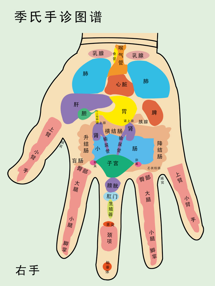 中医经络手诊示意图人体对应部位1577海报印制写真