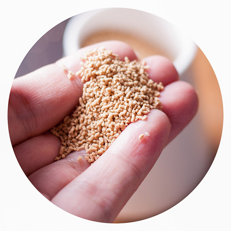 海鲜素木鱼素鲣鱼调味料味噌精粉精粉鲣鱼口碑好店