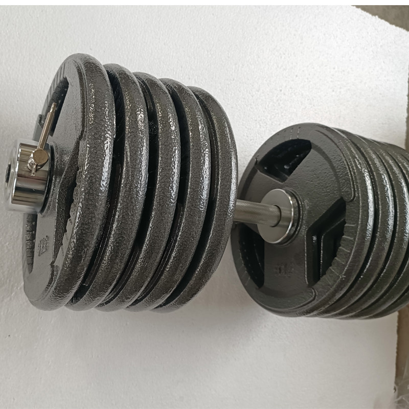 烤漆哑铃大重重量可拆20公斤100kg男士健身器材亚铃哑铃