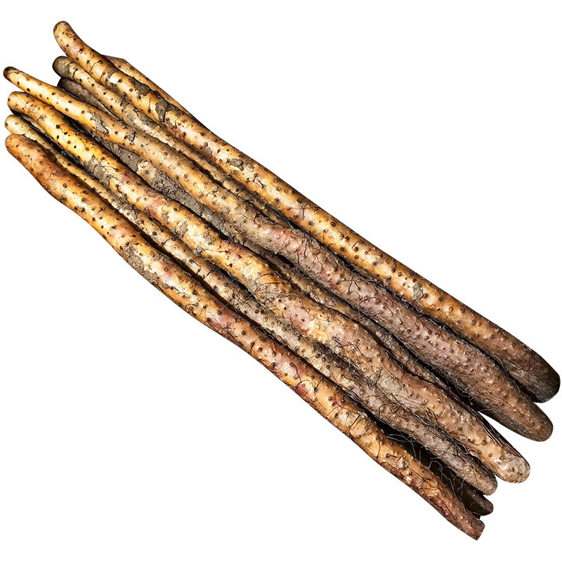 山药阿卫正宗垆土铁棍温县焦作新鲜特级干面新鲜山药