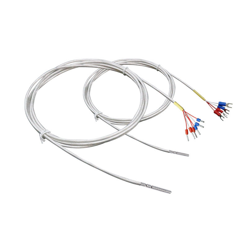 德国双支热电阻pt100探头pt1000温度传感器四线六线热电阻