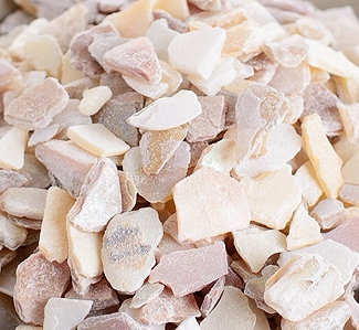 珍珠母500g中药材天然珍珠母珠牡丹珠母真珠母明珠母珍珠母粉包邮