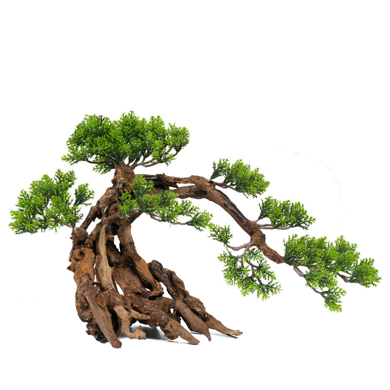 巴西树沉迎客松造景鱼缸装饰莫斯树型骨架懒人造景
