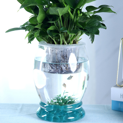 创意水族箱生态圆形玻璃金鱼缸 大号乌龟缸迷你小型造景水培花瓶