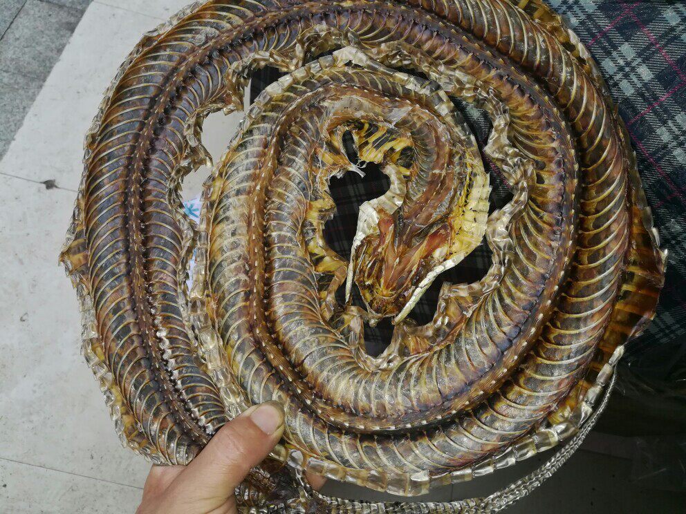 中药材蕲蛇干整条五步整条蛇干包邮泡酒料其他药食同源食品