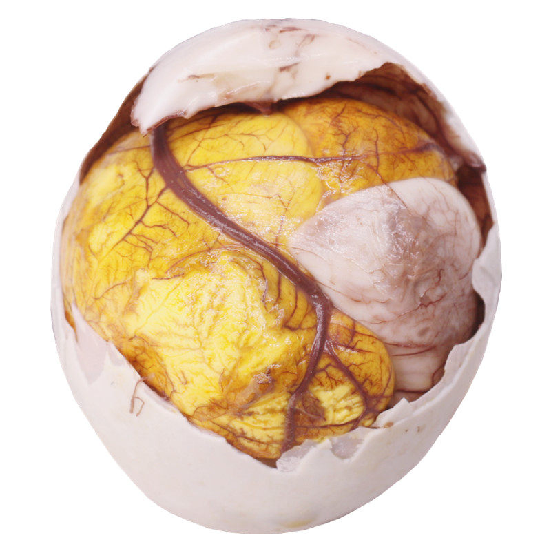 大个个头鸭活蛋活珠子鸭胚新鲜鸭蛋16天活喜活珠子