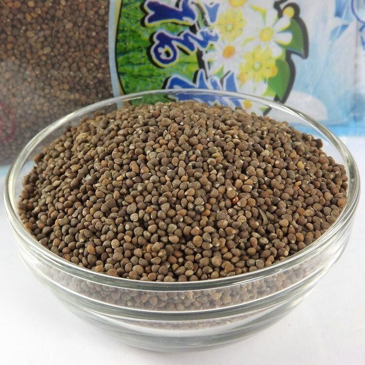 紫苏1斤种植500克麻子子野苏子野籽黑包邮新紫苏紫苏