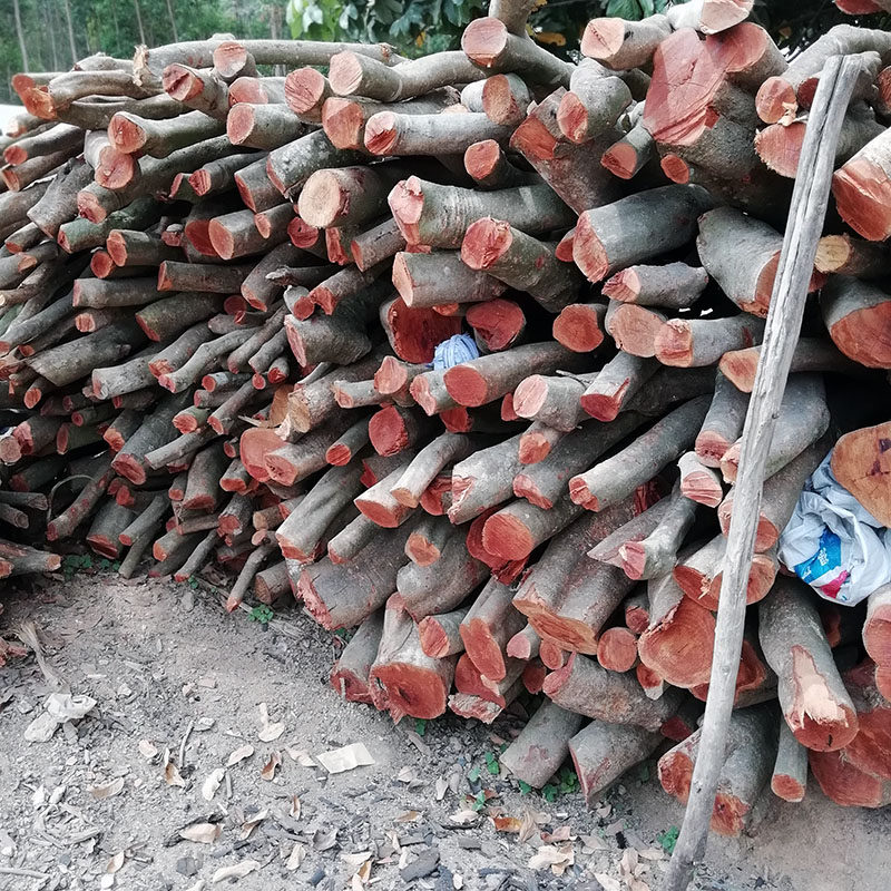 木炭火炭龙眼木碳茶炉烧烤炭炉煮茶炭果铁钳烧烤炭