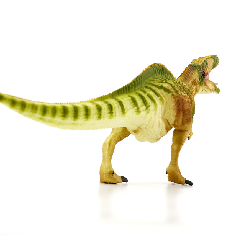 大号正品英国你他collecta高棘龙侏罗纪模型摆件认知仿真